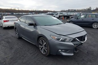 1N4AA6AP8HC361248 | 2017 NISSAN MAXIMA