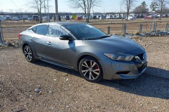 1N4AA6AP8HC381631 | 2017 NISSAN MAXIMA