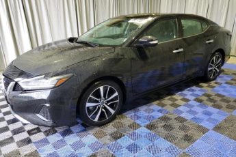 1N4AA6CV4PC508823 | 2023 NISSAN MAXIMA SV