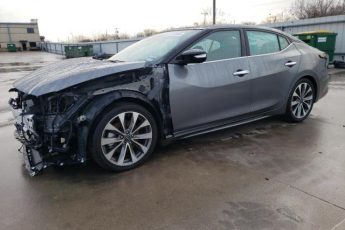 1N4AA6FV5PC512519 | 2023 NISSAN MAXIMA PLA