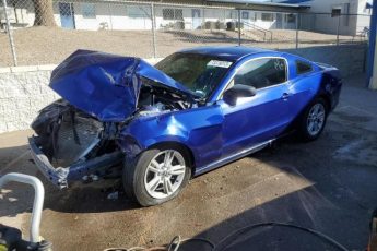 1ZVBP8AM0E5204874 | 2014 FORD MUSTANG