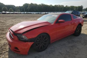 1ZVBP8AM0E5223781 | 2014 FORD MUSTANG