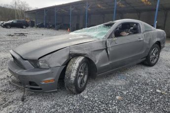 1ZVBP8AM0E5266985 | 2014 FORD MUSTANG