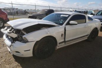 1ZVBP8AM0E5268297 | 2014 FORD MUSTANG