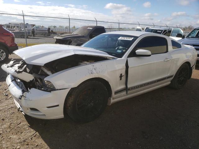 1ZVBP8AM0E5268297 | 2014 FORD MUSTANG