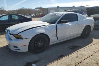 1ZVBP8AM0E5282751 | 2014 FORD MUSTANG