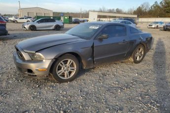 1ZVBP8AM0E5318907 | 2014 FORD MUSTANG