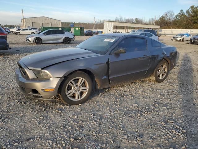 1ZVBP8AM0E5318907 | 2014 FORD MUSTANG