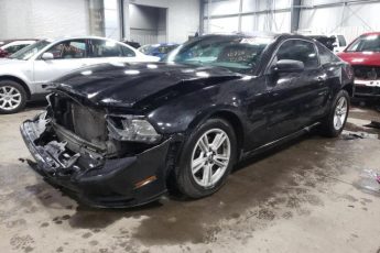 1ZVBP8AM0E5327445 | 2014 FORD MUSTANG