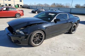 1ZVBP8AM1E5309374 | 2014 FORD MUSTANG