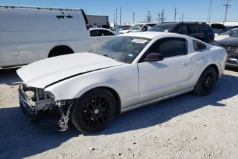 1ZVBP8AM2E5245247 | 2014 FORD MUSTANG