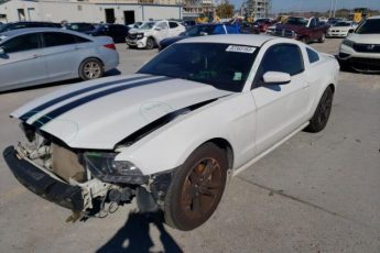 1ZVBP8AM2E5278135 | 2014 FORD MUSTANG