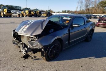 1ZVBP8AM2E5282346 | 2014 FORD MUSTANG