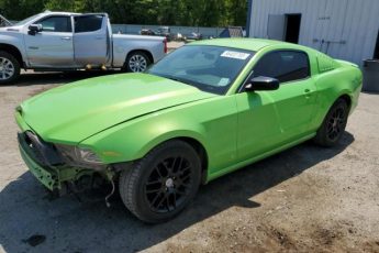 1ZVBP8AM2E5309609 | 2014 FORD MUSTANG