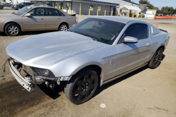 1ZVBP8AM2E5320772 | 2014 FORD MUSTANG