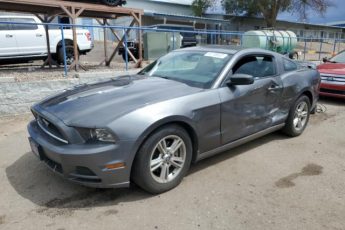 1ZVBP8AM2E5321243 | 2014 FORD MUSTANG