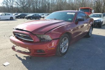 1ZVBP8AM3E5212080 | 2014 FORD MUSTANG