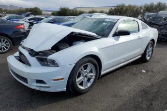 1ZVBP8AM3E5250439 | 2014 FORD MUSTANG