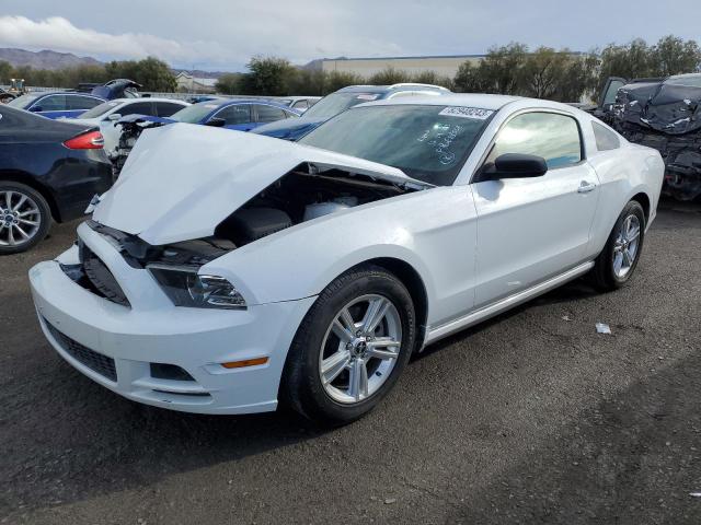 1ZVBP8AM3E5250439 | 2014 FORD MUSTANG