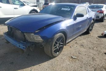 1ZVBP8AM3E5331649 | 2014 FORD MUSTANG