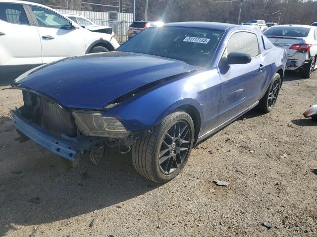 1ZVBP8AM3E5331649 | 2014 FORD MUSTANG