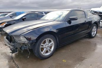 1ZVBP8AM4E5240972 | 2014 FORD MUSTANG