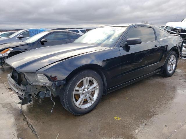 1ZVBP8AM4E5240972 | 2014 FORD MUSTANG