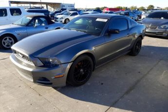 1ZVBP8AM4E5260056 | 2014 FORD MUSTANG