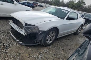 1ZVBP8AM4E5319221 | 2014 FORD MUSTANG