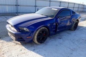 1ZVBP8AM5E5207270 | 2014 FORD MUSTANG