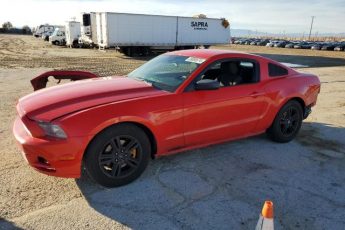 1ZVBP8AM5E5229253 | 2014 FORD MUSTANG