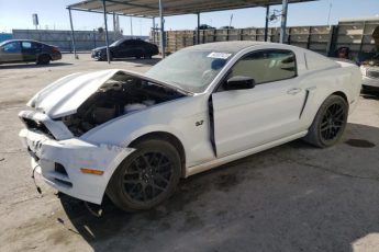 1ZVBP8AM5E5271566 | 2014 FORD MUSTANG