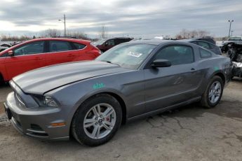 1ZVBP8AM7E5254008 | 2014 FORD MUSTANG