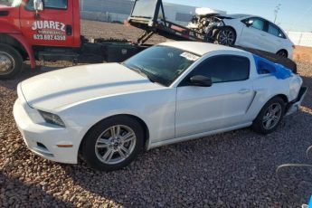 1ZVBP8AM7E5254915 | 2014 FORD MUSTANG