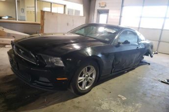 1ZVBP8AM7E5319522 | 2014 FORD MUSTANG