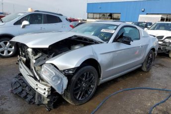 1ZVBP8AM8E5271349 | 2014 FORD MUSTANG