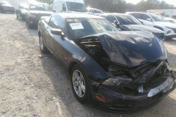 1ZVBP8AM8E5295876 | 2014 FORD MUSTANG