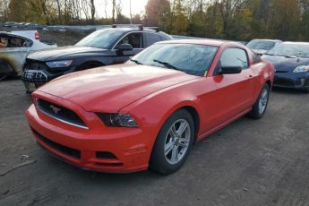 1ZVBP8AM8E5316242 | 2014 FORD MUSTANG