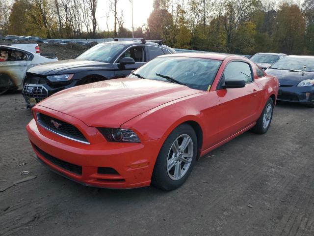 1ZVBP8AM8E5316242 | 2014 FORD MUSTANG