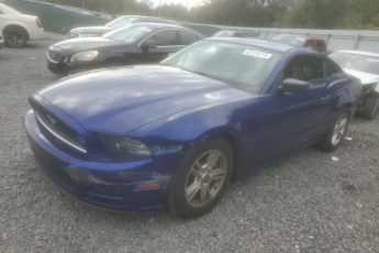 1ZVBP8AM9E5263924 | 2014 FORD MUSTANG