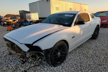 1ZVBP8AM9E5278052 | 2014 FORD MUSTANG