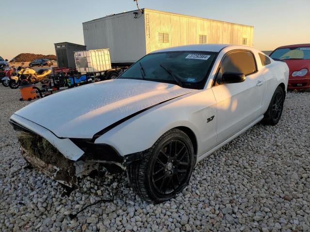 1ZVBP8AM9E5278052 | 2014 FORD MUSTANG