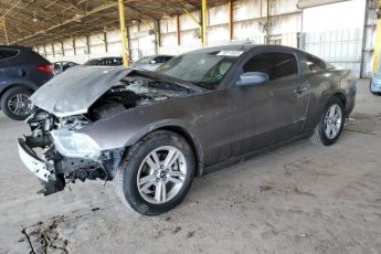 1ZVBP8AM9E5281436 | 2014 FORD MUSTANG