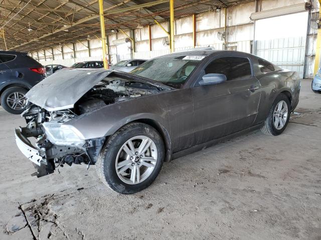 1ZVBP8AM9E5281436 | 2014 FORD MUSTANG