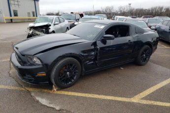 1ZVBP8AM9E5296504 | 2014 FORD MUSTANG