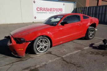 1ZVBP8AM9E5333602 | 2014 FORD MUSTANG