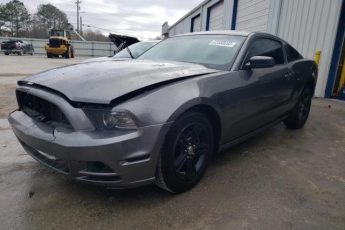 1ZVBP8AMXE5218684 | 2014 FORD MUSTANG