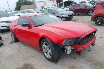 1ZVBP8AMXE5264807 | 2014 FORD MUSTANG