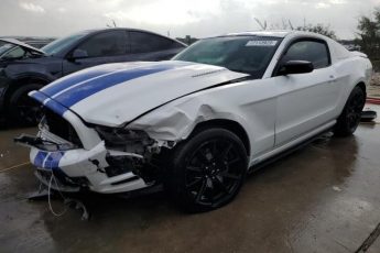 1ZVBP8AMXE5277573 | 2014 FORD MUSTANG