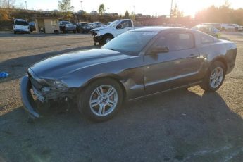 1ZVBP8AMXE5303234 | 2014 FORD MUSTANG